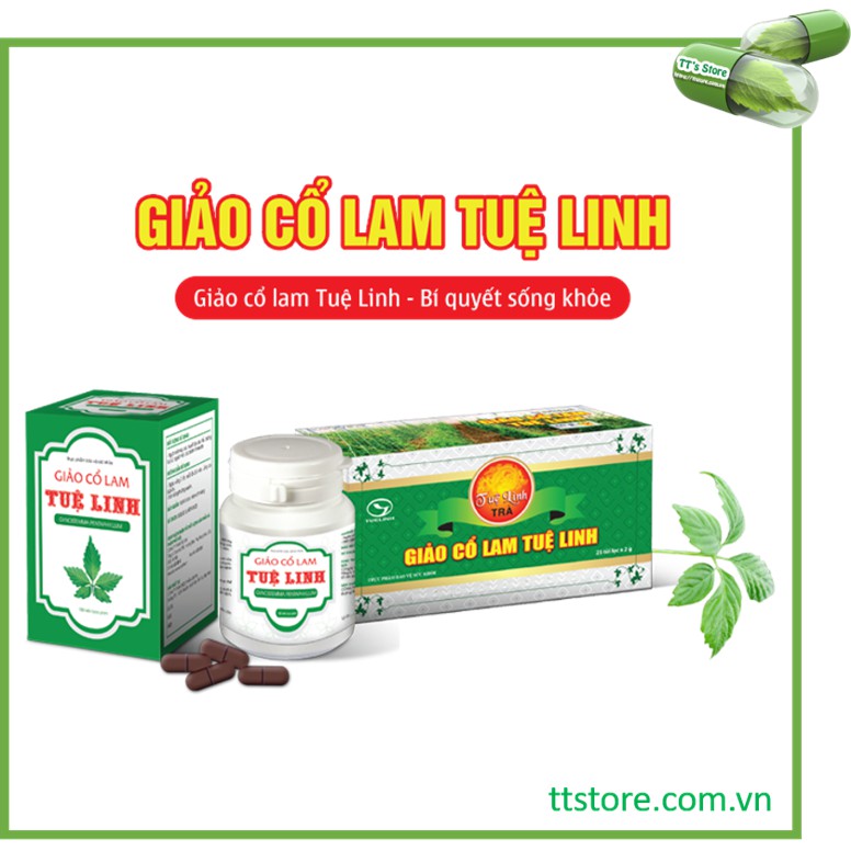 Giảo cổ lam Tuệ Linh - Trà giảo cổ lam - Trà túi lọc giảo cổ lam