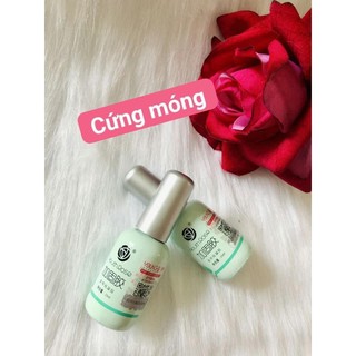 𝐒𝐨̛𝐧 𝐠𝐞𝐥 𝐡𝐨𝐚 𝐡𝐨̂̀𝐧𝐠 (base-Top-cứng móng)