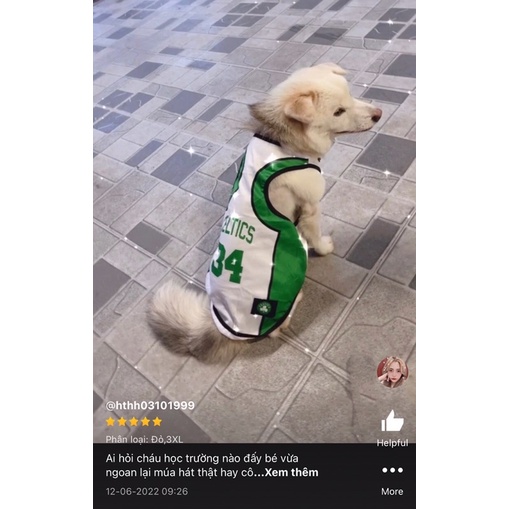 Áo cho chó lớn, Quần áo cho chó size lớn 2xl - 5xl, A11