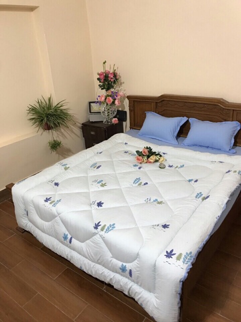 Set ga chun chăn hét cotton đũi kèm áo gối