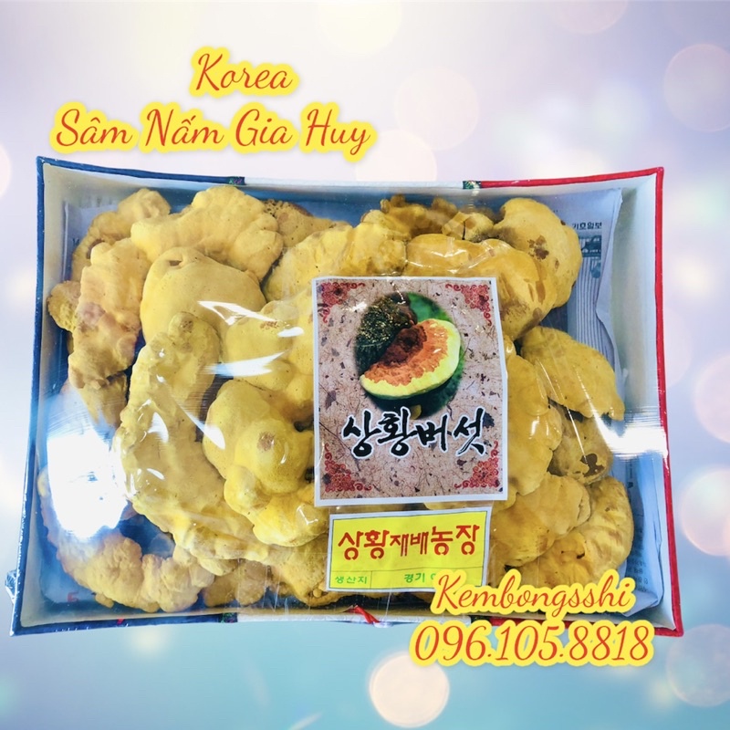 [HÀNG MỚI VỀ] Nấm Thượng Hoàng Hộp Cờ Hàn Quốc, Hộp 500gr