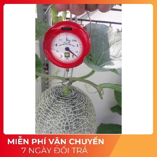 Cân mini Nhơn hoà bỏ túi 5kg