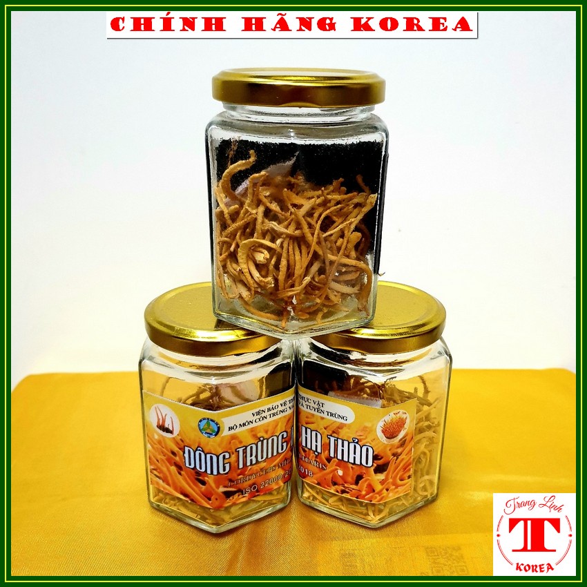 Nấm đông trùng hạ thảo việt nam, hộp 10gr - Đông trùng hạ thảo khô thượng hạng - Mát gan, bổ phổi, chống lão hóa
