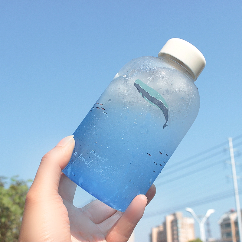 Bình Nước Thuỷ Tinh Màu Gradient