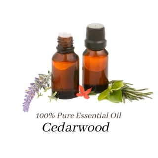 TINH DẦU HOÀNG ĐÀN / TUYẾT TÙNG (CEDARWOOD)