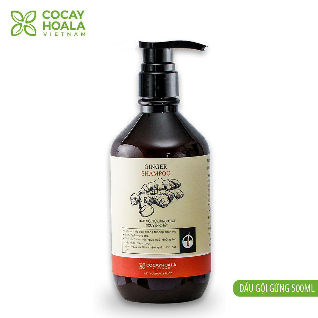 Dầu Gội Gừng trị rụng tóc Cocayhoala 500ml | BigBuy360 - bigbuy360.vn