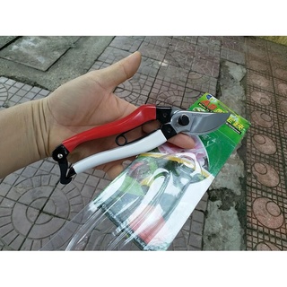 Kéo cắt cành buddy bd017
