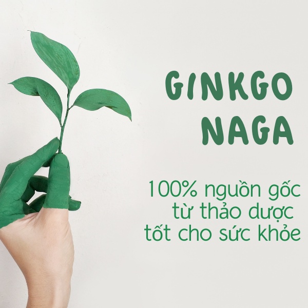Cải Thiện Giấc Ngủ Và Trí Nhớ - Ginkgo Naga Tăng Cường Máu Lên Não, Giúp Làm Dịu Chứng Rối Loạn Tiền Đình