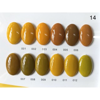 Enou set 12 bán lẻ