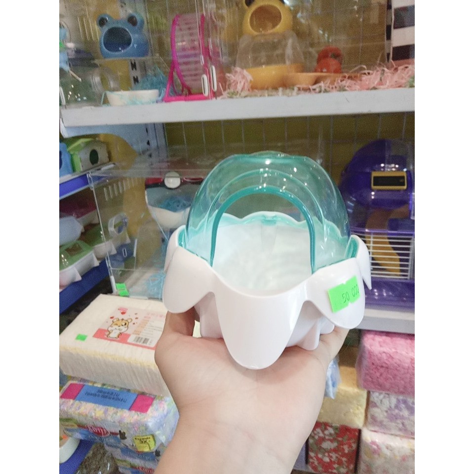 nhà tắm hoa sen cho hamster