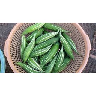 HẠT GIỐNG LẶC LÈ GÓI 5GAM ( MƯỚP NHẬT)