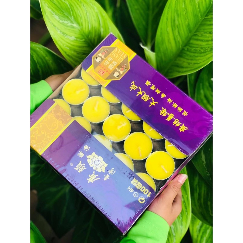 Nến Bơ Thực Vật Tự Nhiên