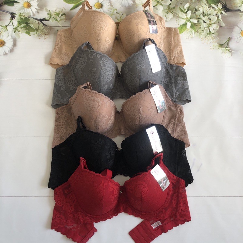 Áo lót ngực bigsize ren Thái Lan sisterhood 2417 bản to cup C ren hoa hồng size từ 36 đến size 42