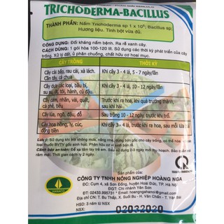 Nấm đối kháng Trichoderma