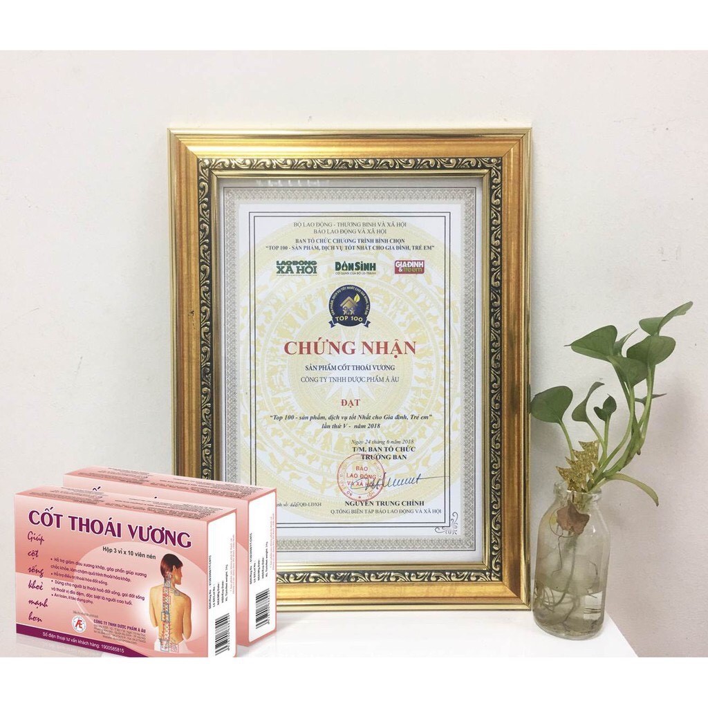 Cốt Thoái Vương - Viên Uống Hỗ Trợ Thoái Hóa Cột Sống, Thoát Vị Đĩa Đệm, Viêm Khớp (Hộp 30 viên) [Chính Hãng]