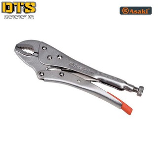 Kìm chết asaki ak-8258 10''/250mm giocongcu