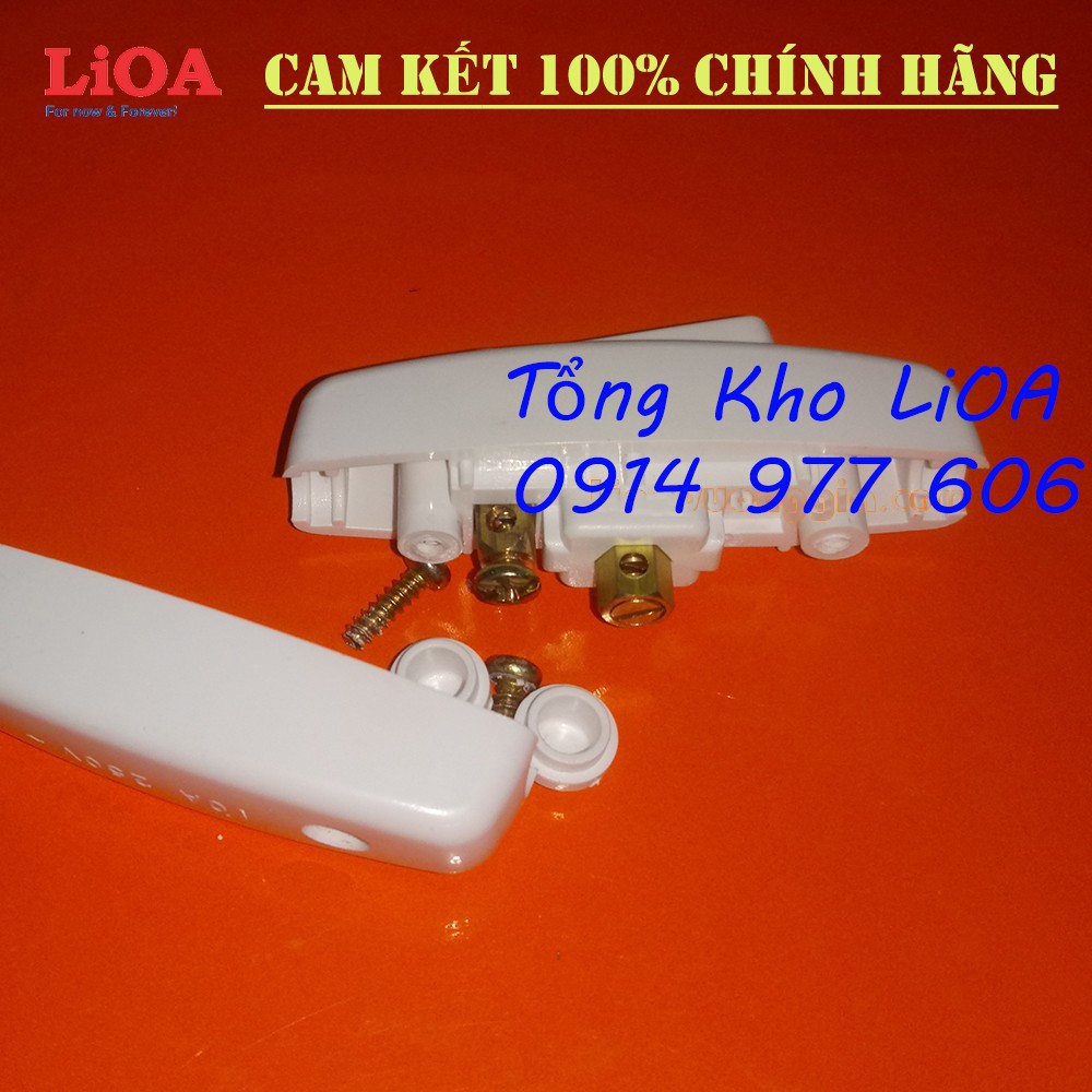Công Tắc Qủa Nhót LiOA 10A-250V