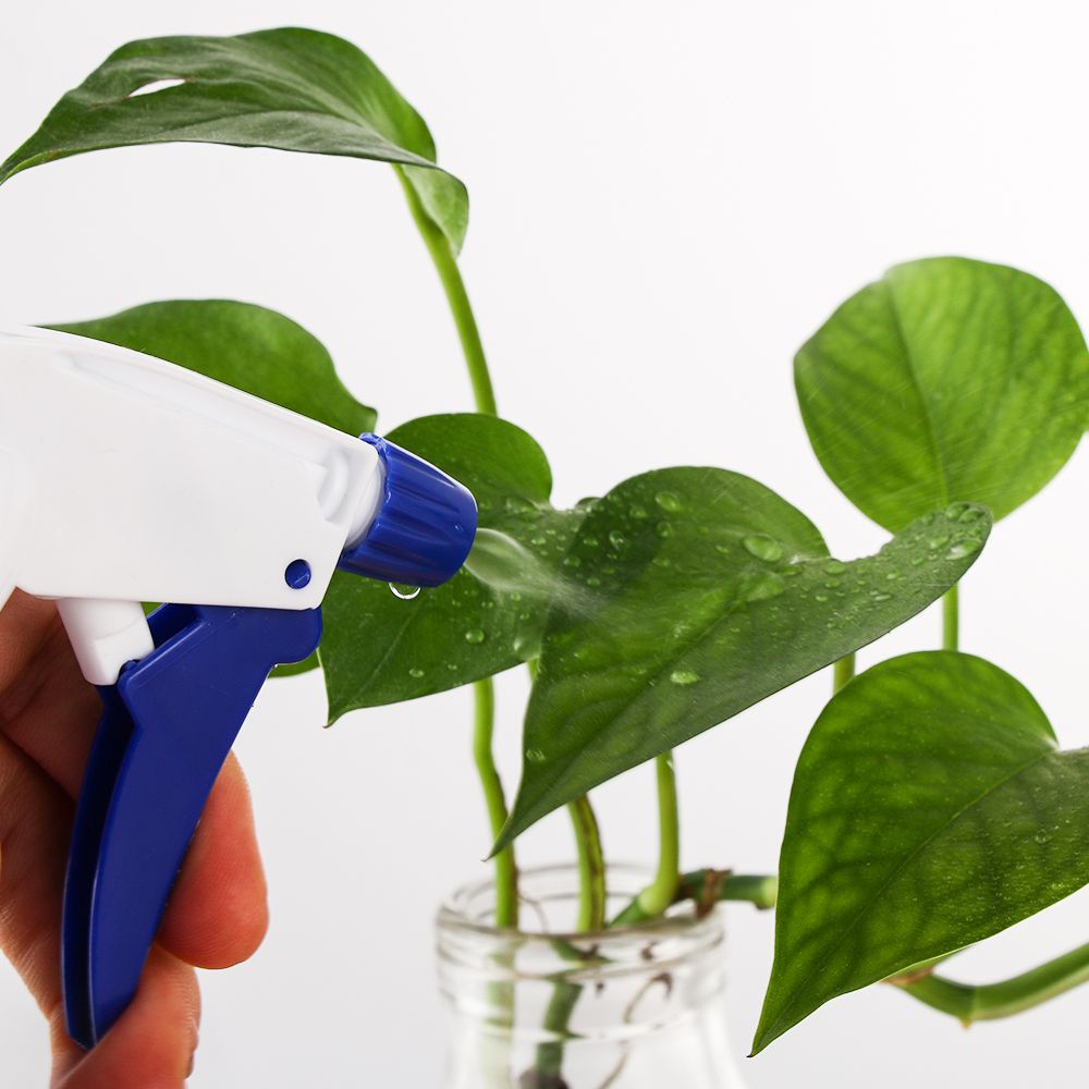 Bình xịt nước tưới cây bằng nhựa trong suốt dung tích 500ml