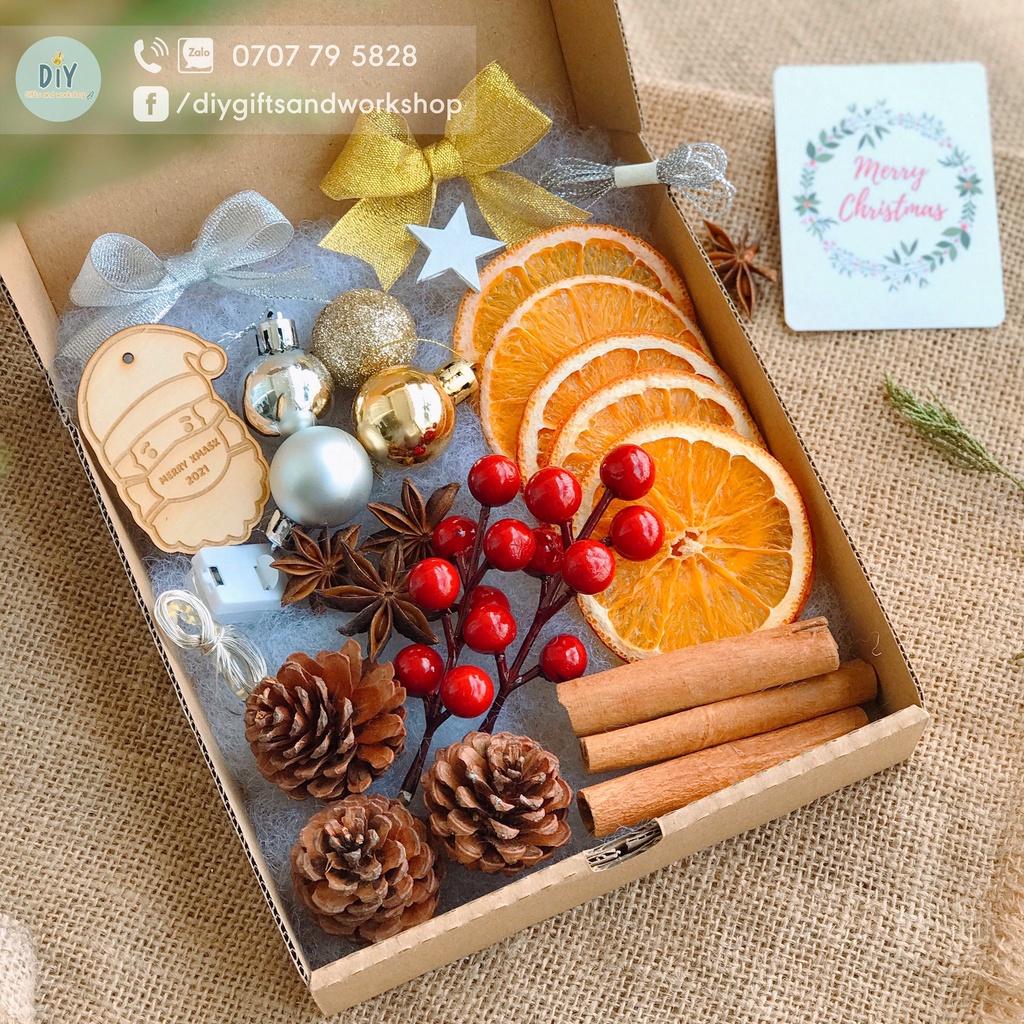 SET PHỤ KIỆN TRANG TRÍ NOEL ĐỦ LOẠI CAM QUẾ THÔNG, TRÁI CHÂU, ĐÀO ĐÔNG, ĐÈN LED