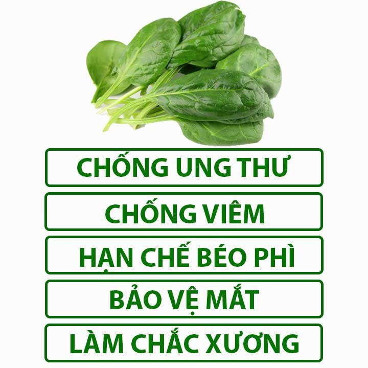 Hạt Giống Cải Bó Xôi 20Gr - Hạt Giống Rau Chân Vịt Dễ Trồng, Chịu Nhiệt