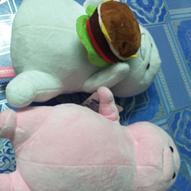 Gấu của chị Thúy
