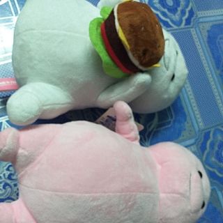 Gấu của chị Thúy