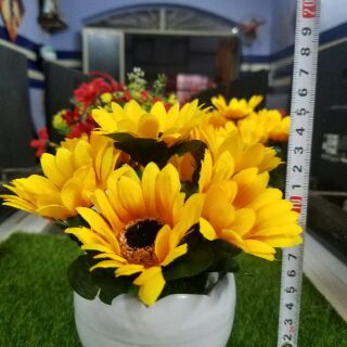 Chậu hoa trang trí
