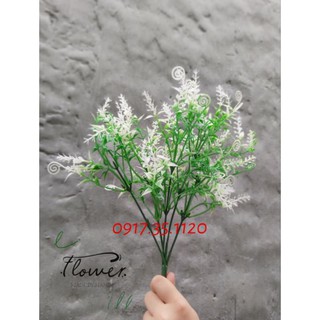 Cỏ điểm dấu hỏi