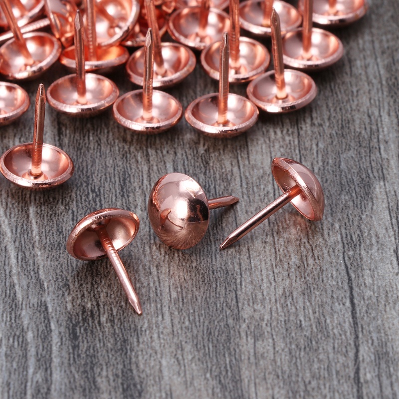 Set 100 Đinh Vít Kim Loại Dùng Để Trang Trí Nội Thất DIY
