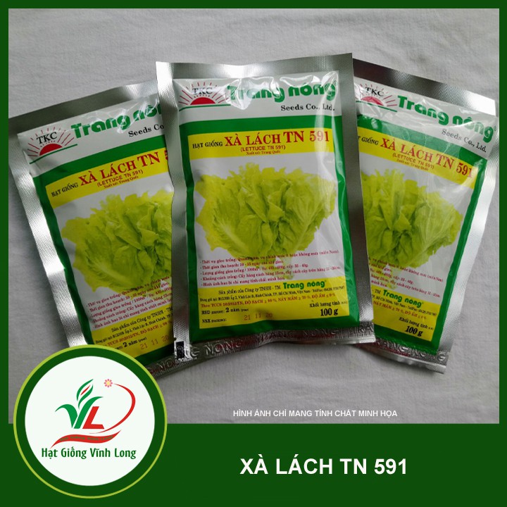 Hạt giống rau Xà lách TN 591