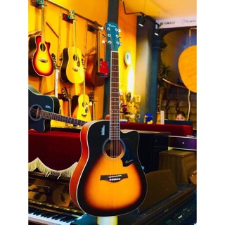 Guitar Rosen