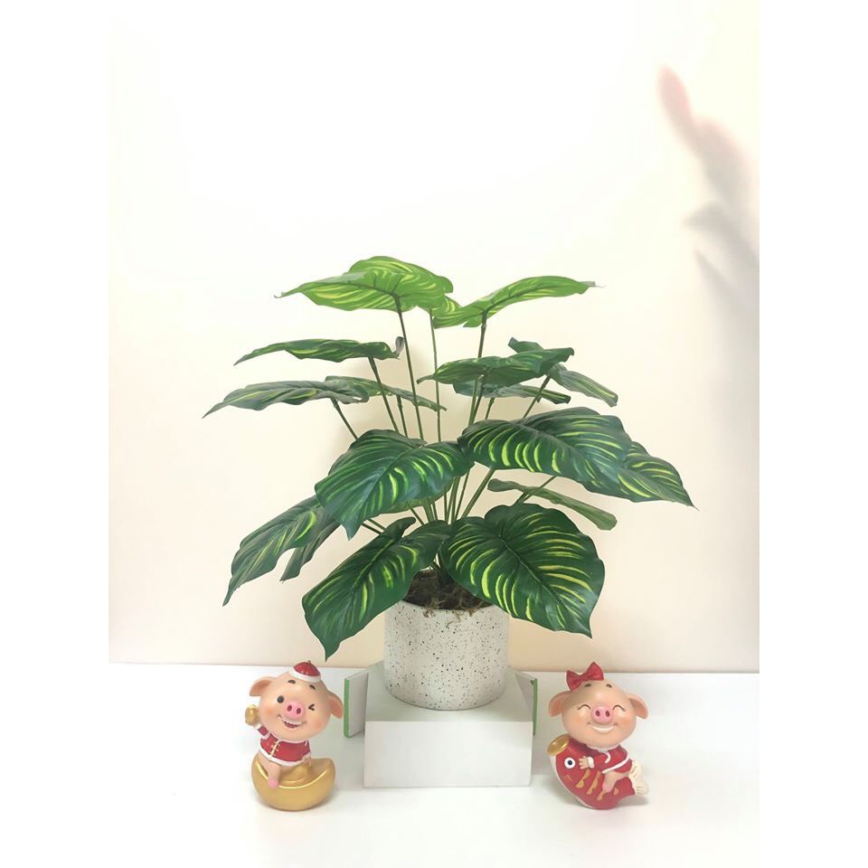Cây giả - Cây trầu bà cao 45cm