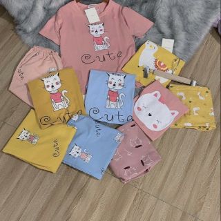 Combo 6 Bộ Lôn Xộn