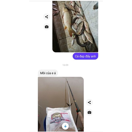 Combo bộ mồi Rô Phi NTN