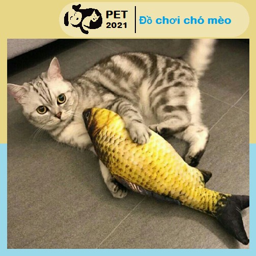 Cá Chép Nhồi Bông Dành Cho Chó Mèo Tặng Kèm Catnip