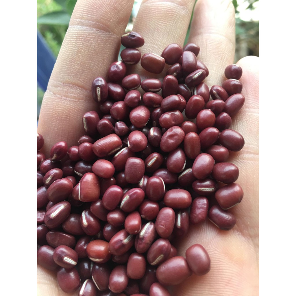 Đậu đỏ hạt nhỏ (1kg) Hút chân không
