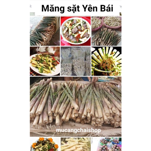 Măng sặt, măng trúc, măng ngọt Yên Bái túi 500g