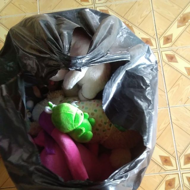 Gấu bông của tuệ mẫn