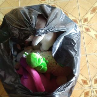 Gấu bông của tuệ mẫn