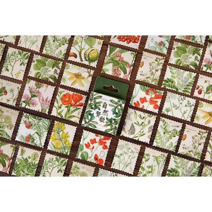 Bộ 45 Sticker Hoa Lá Hàn Quốc dán trang trí E45