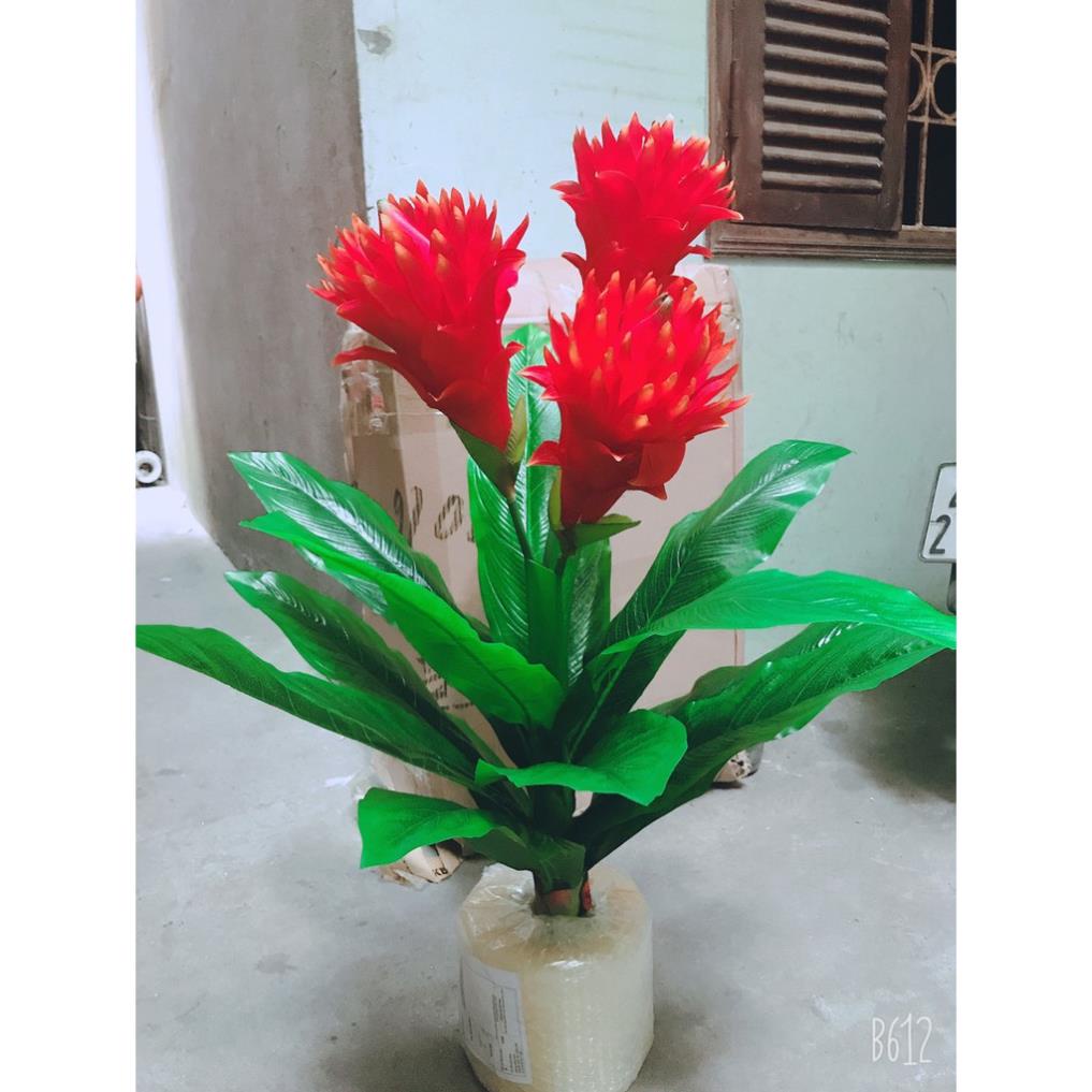 Cây Lan Đuốc giả cảnh 80cm trang trí văn phong,phòng khách
