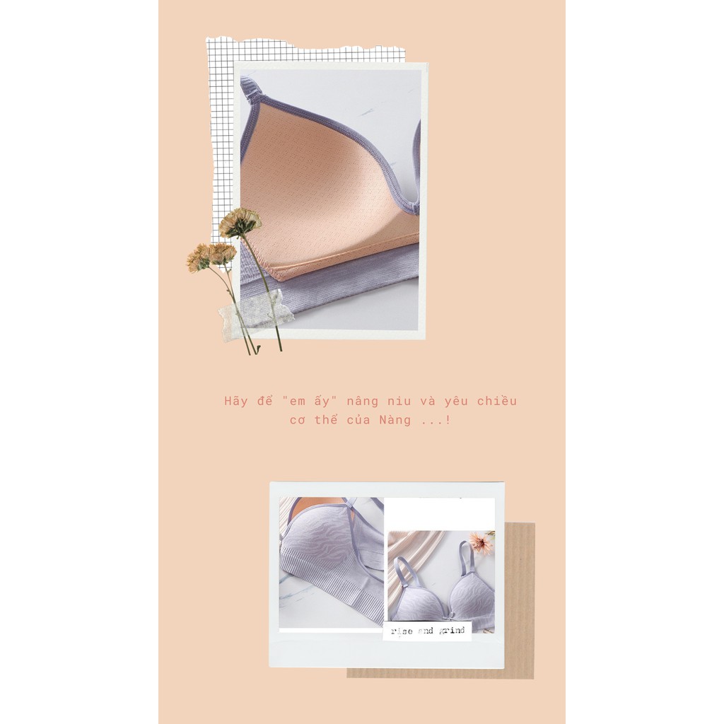 Áo lót nữ cotton chống xệ Vanvene form 3d thông hơi mềm mịn bản lưng áo rộng 10cm áo ngực chống hằn mới A109 | BigBuy360 - bigbuy360.vn