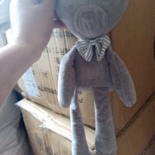 Gấu mama papa cho bé