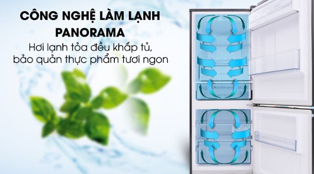Tủ lạnh Panasonic inverter 255 Lít NR-BV288GKV2. NEW100%