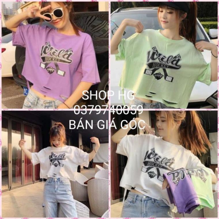 Áo thun nữ crotop 💞BÁN GIÁ SỈ 💞form rộng tay lỡ cổ tròn Hockey, 3 màu trắng/tím/xanh New