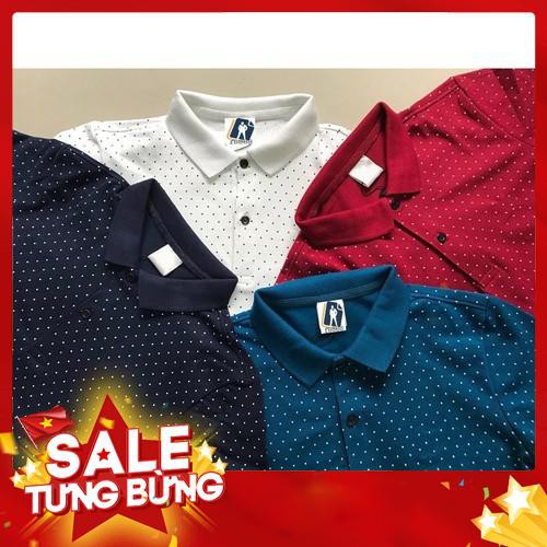 ÁO THUN POLO NAM, ÁO PHÔNG NGẮN TAY CÓ CỔ CHẤT ĐẸP, HỌA TIẾT CHẤM BI - Hàng nhập khẩu