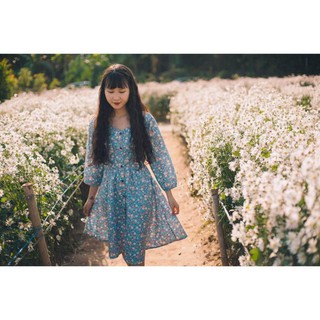 Pass đầm cúc họa mi shop LÀ HOA 🌺🌺