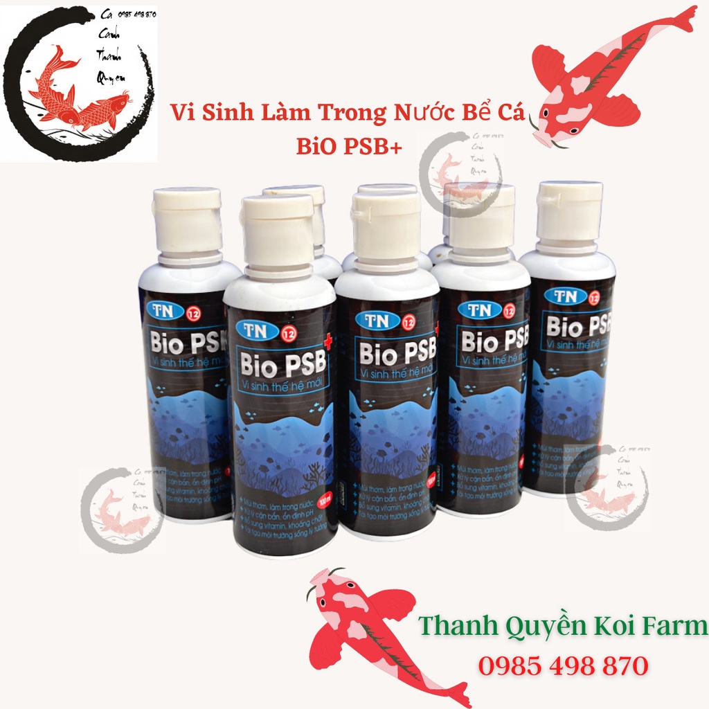 Vi sinh làm trong nước bể cá, hồ cá Koi, cá cảnh  Bio PSB+