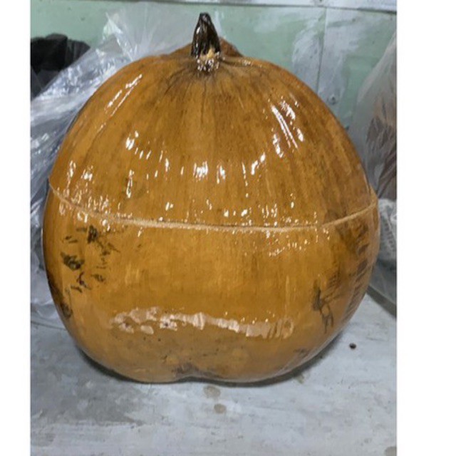 Vỏ giữ ấm bình trà trái dừa +Tặng ấm tích trà nhiều Size | BigBuy360 - bigbuy360.vn