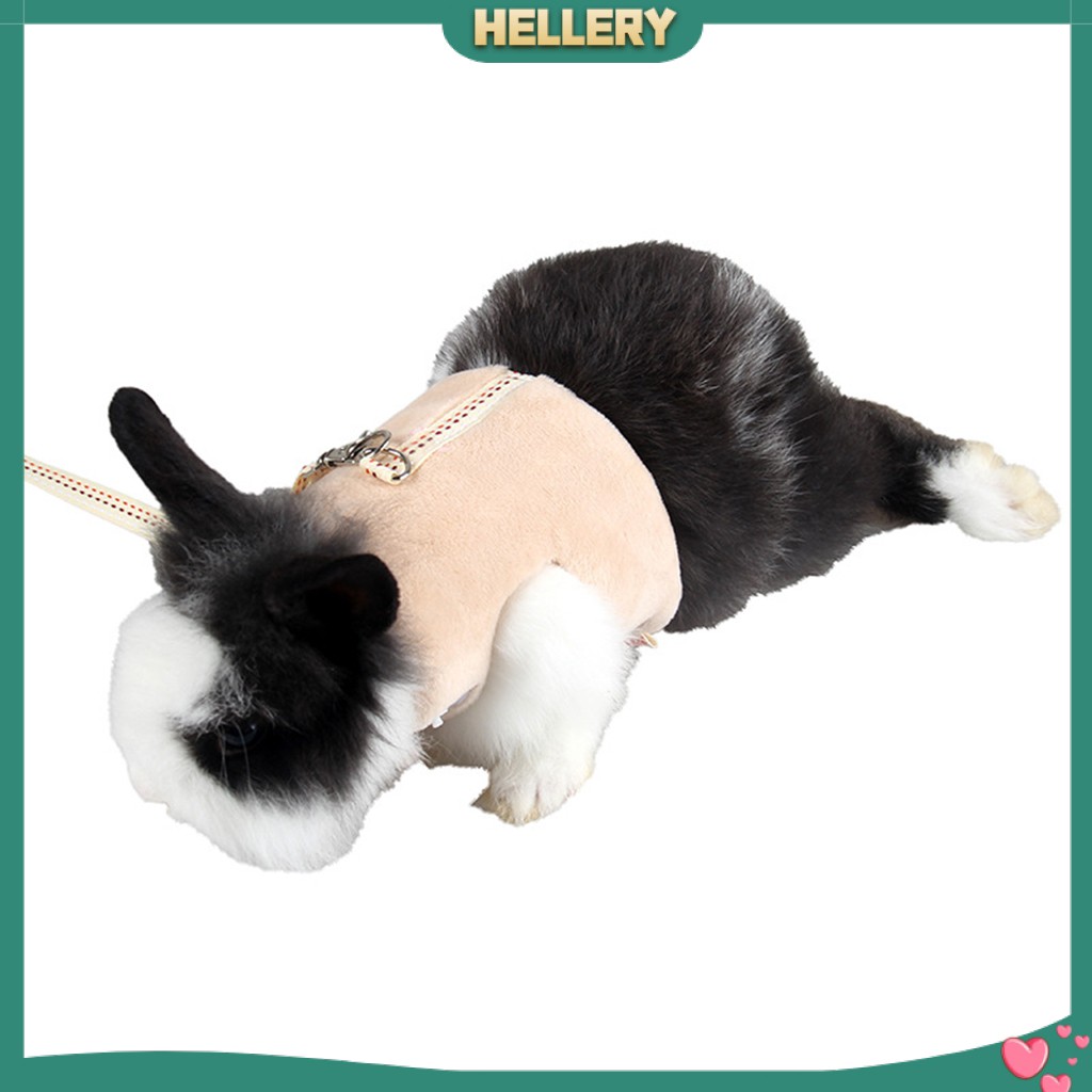 Bộ Dây Đai Và Dây Dắt Bằng Vải Cotton Cho Chuột Hamster / Heo Guinea